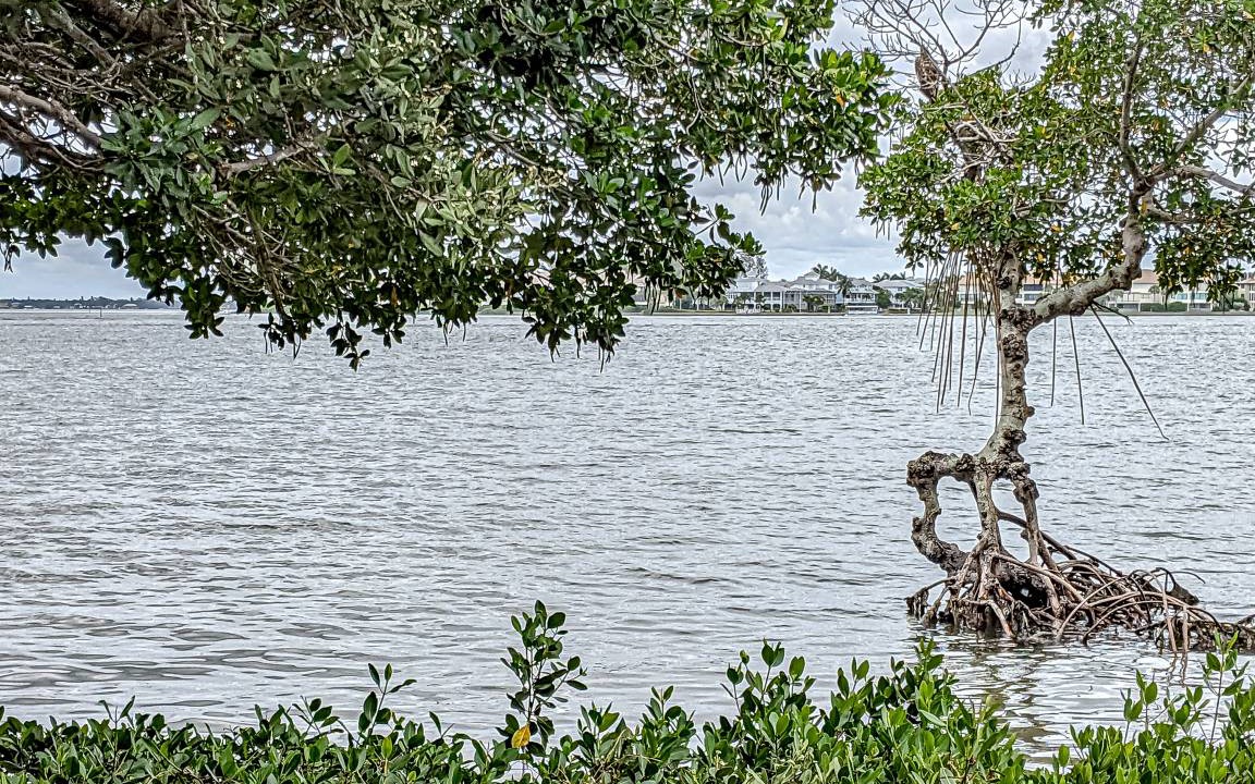 Photo of Others in Bradenton Beach