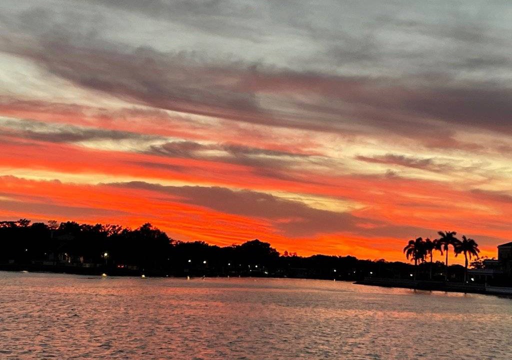 Photo of Others in St. Petersburg - Clearwater