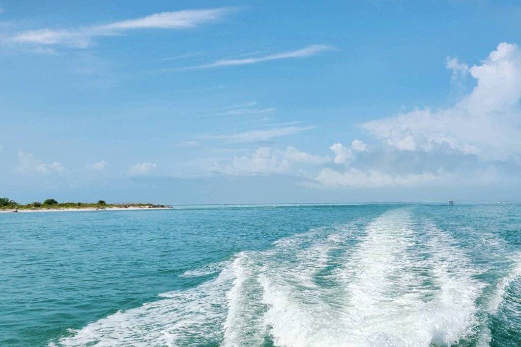 Photo of Others in Mid Island