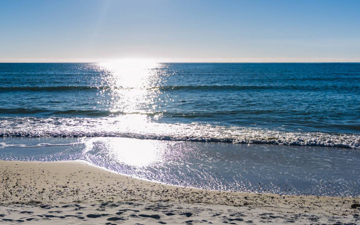 Photo of Others in Port St. Joe