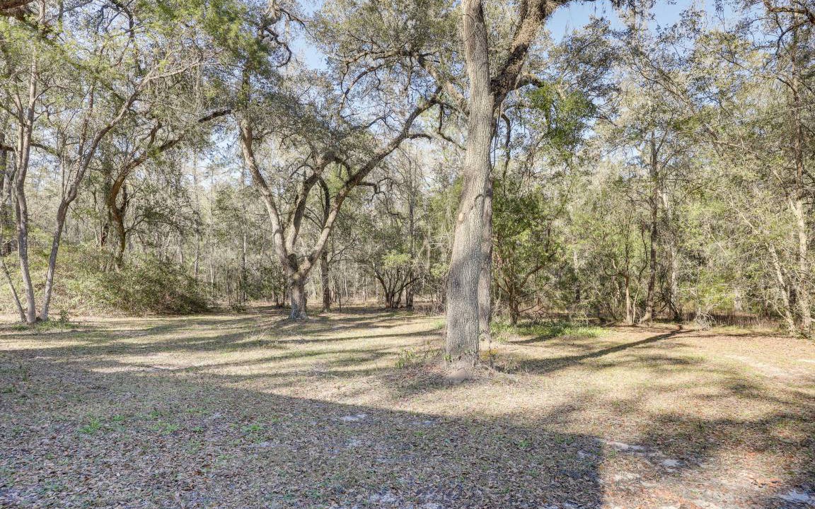 Photo of Others in Boys Ranch