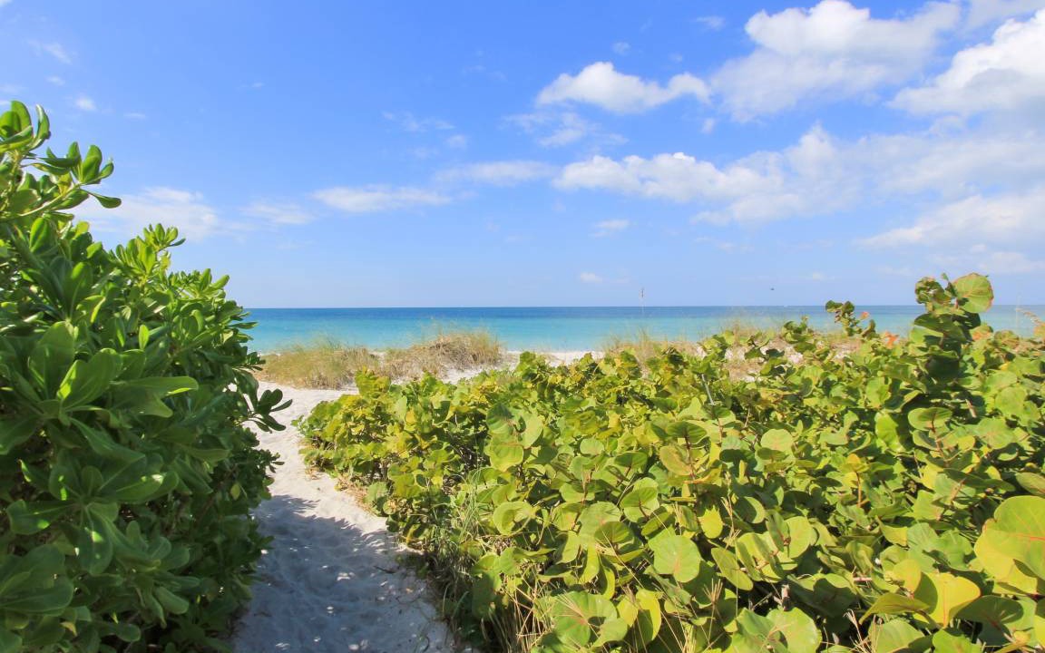 Photo of Others in Belleair Beach