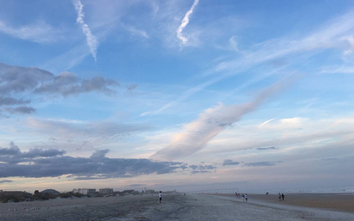 Photo of Others in Siesta Key