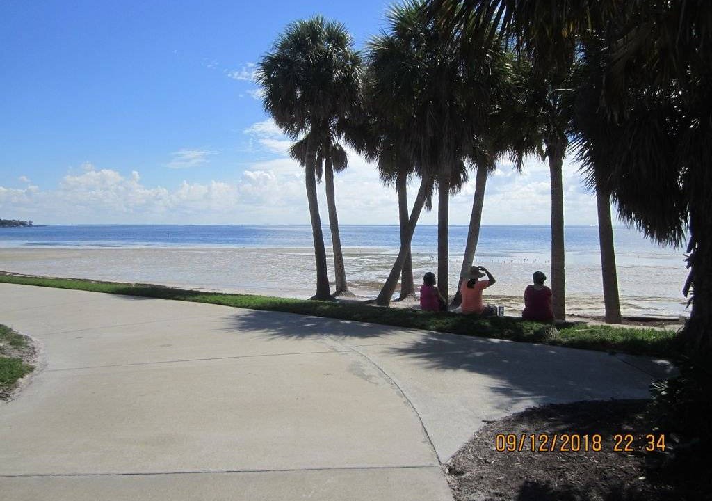 Photo of Others in St. Petersburg - Clearwater