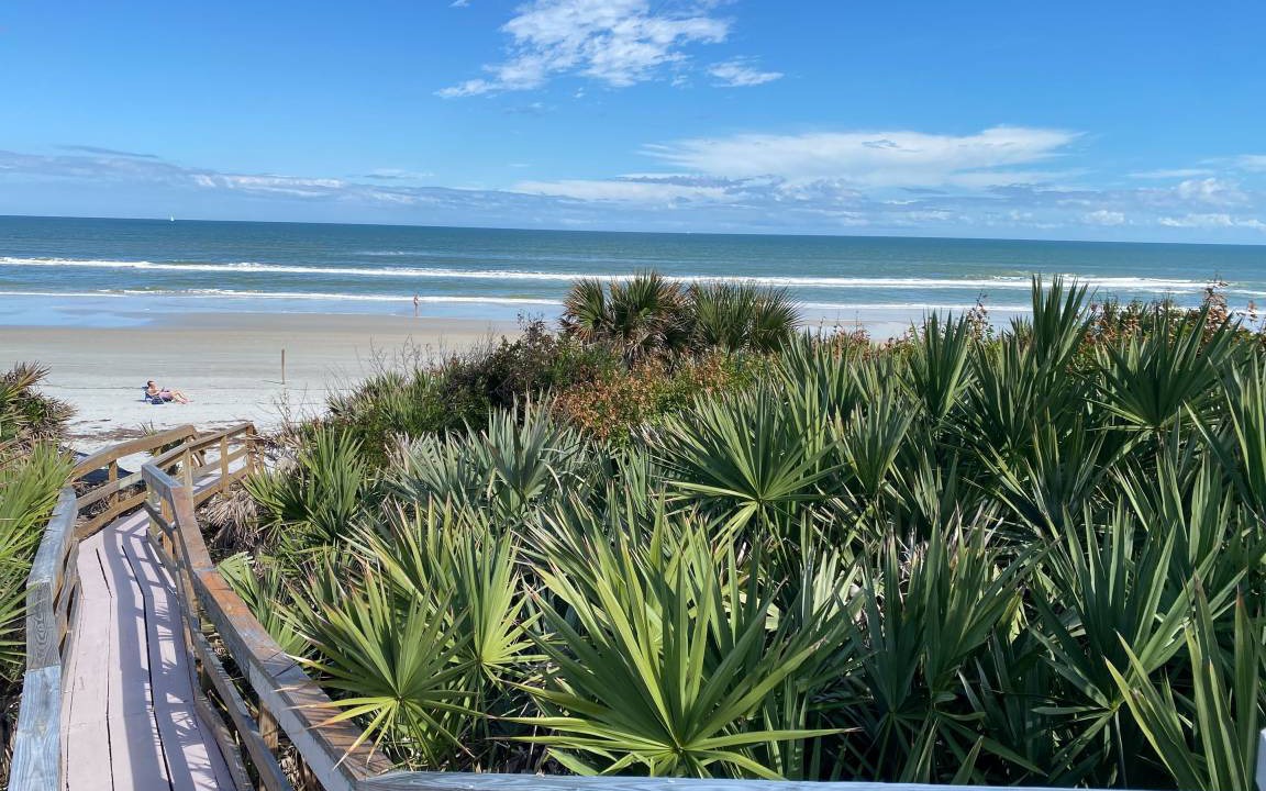 Photo of Others in New Smyrna Beach