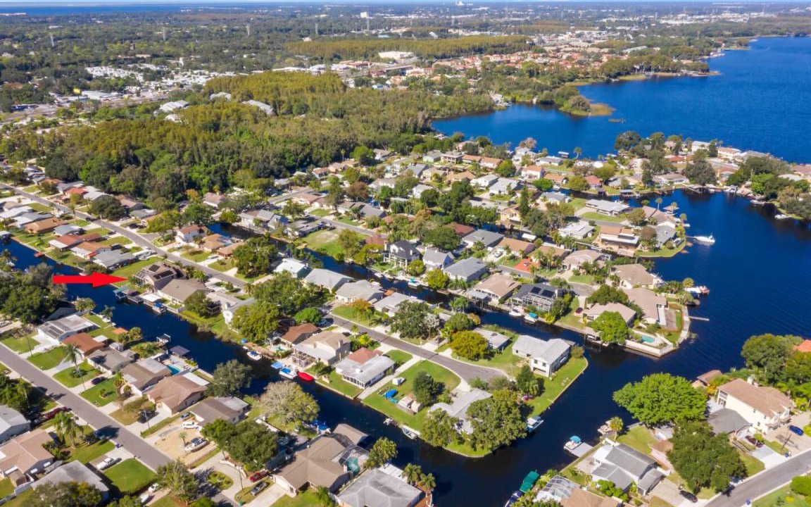 Photo of Others in Palm Harbor