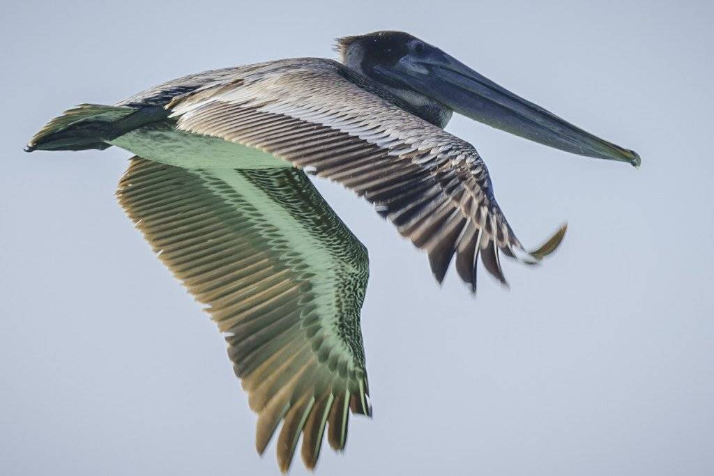 Photo of Others in Port St. Joe