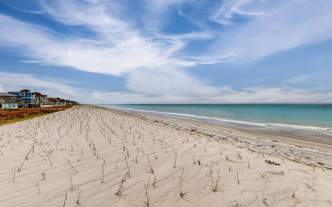 Photo of Outdoor in Belleair Beach