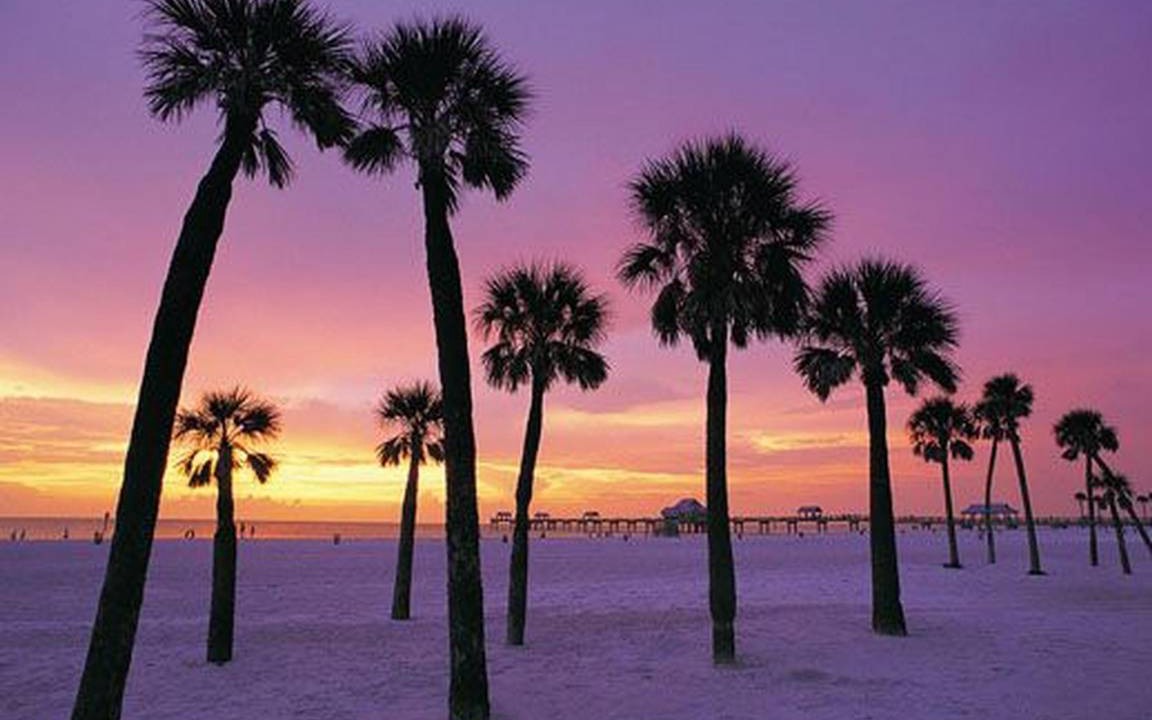 Photo of Others in Clearwater Beach