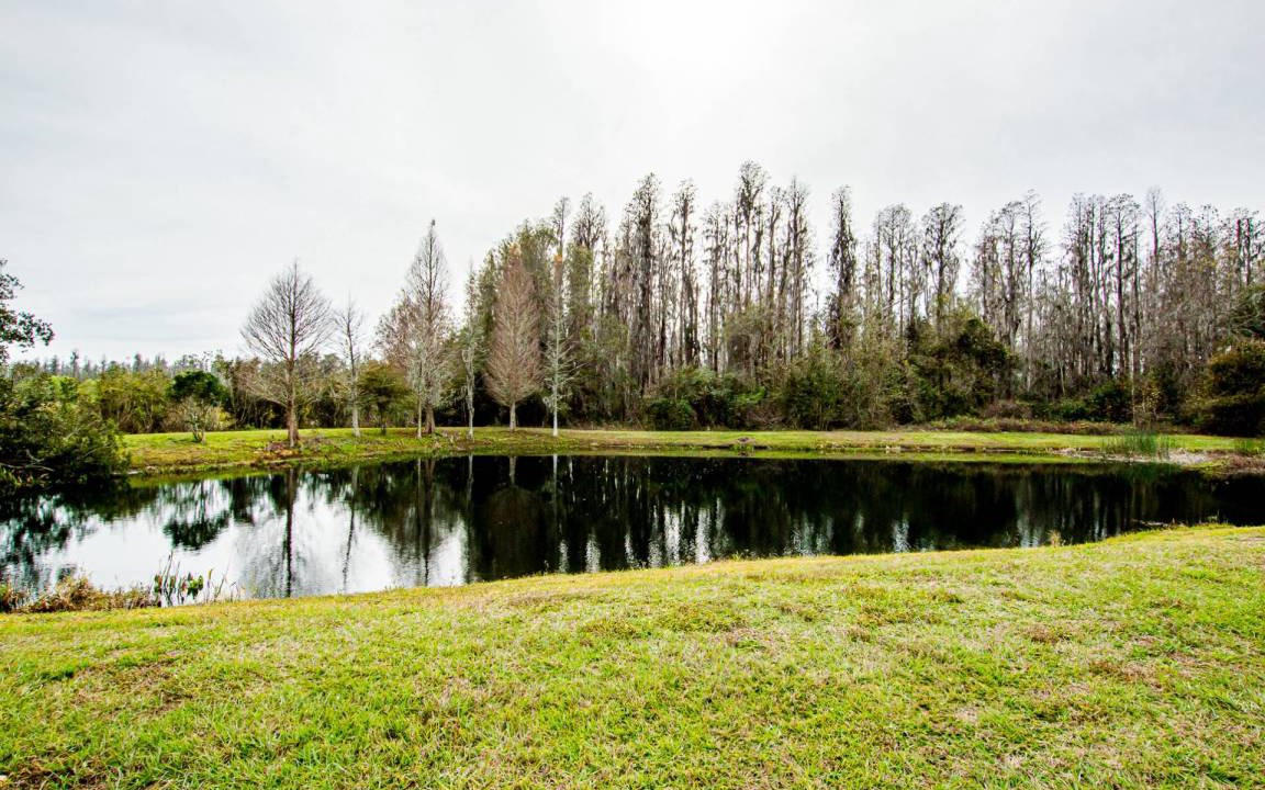 Photo of Others in Meadow Pointe