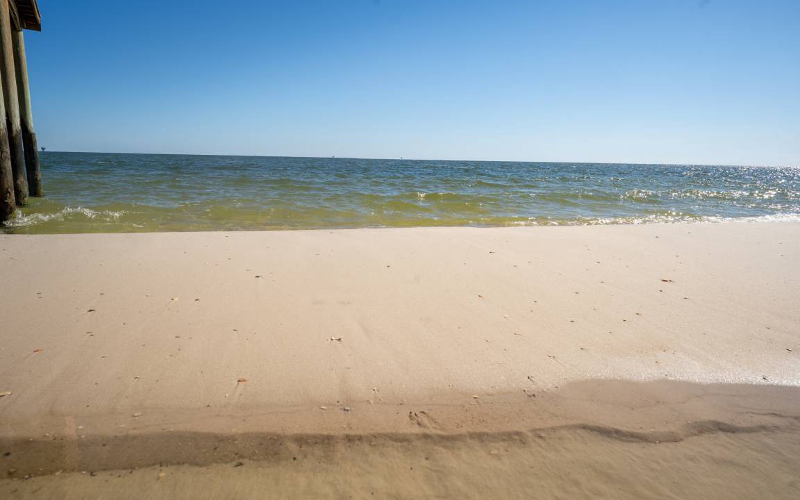 Photo of Others in Dauphin Island