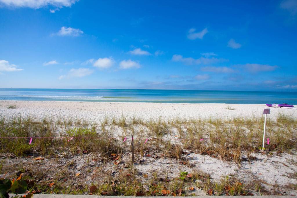 Photo of Others in Bonita Springs