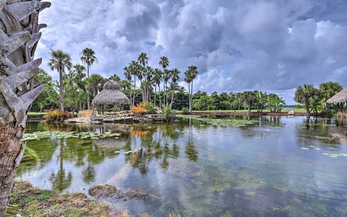 Photo of Others in Tropic