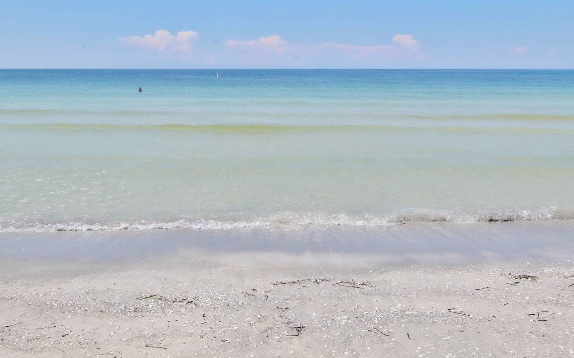 Photo of Others in Belleair Beach