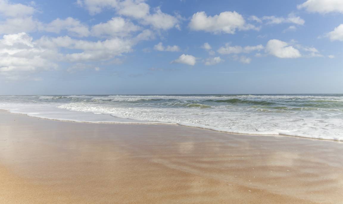 Photo of Others in Crescent Beach