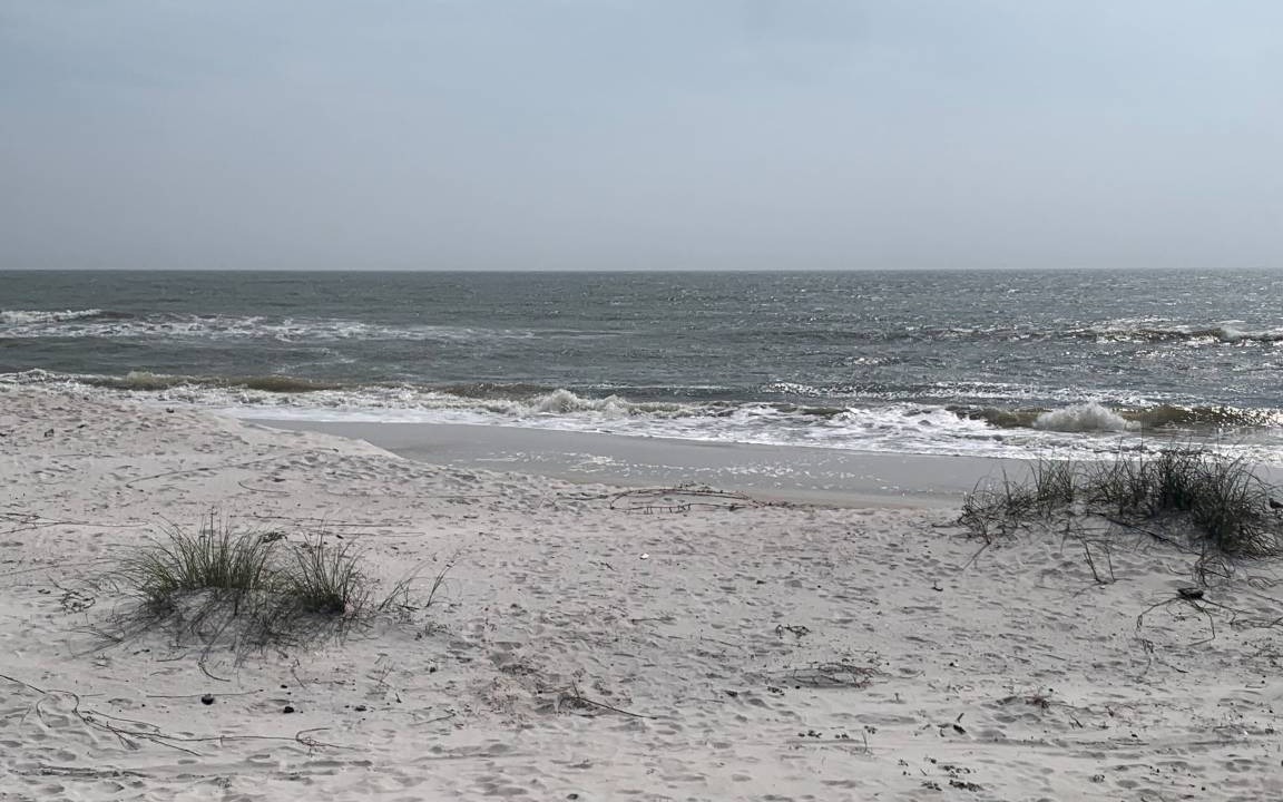 Photo of Others in Cape San Blas