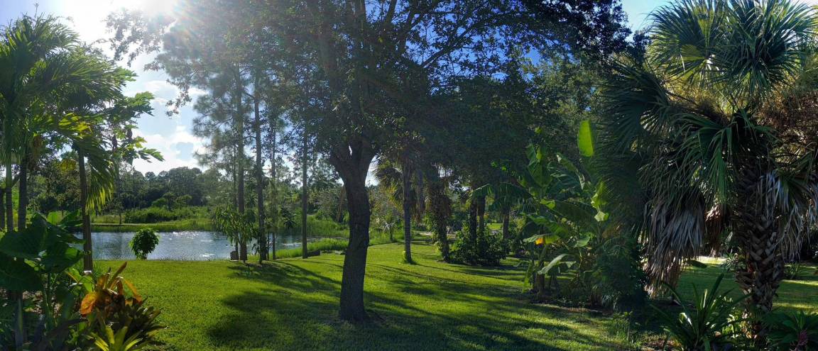 Photo of Others in Jupiter Farms