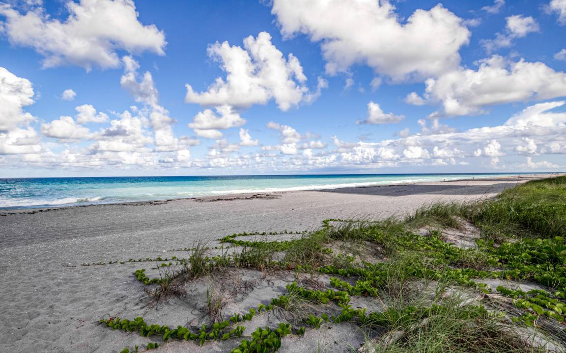 Photo of Others in Juno Beach