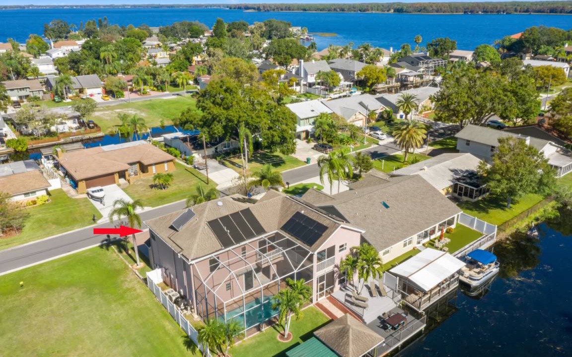 Photo of Others in Palm Harbor