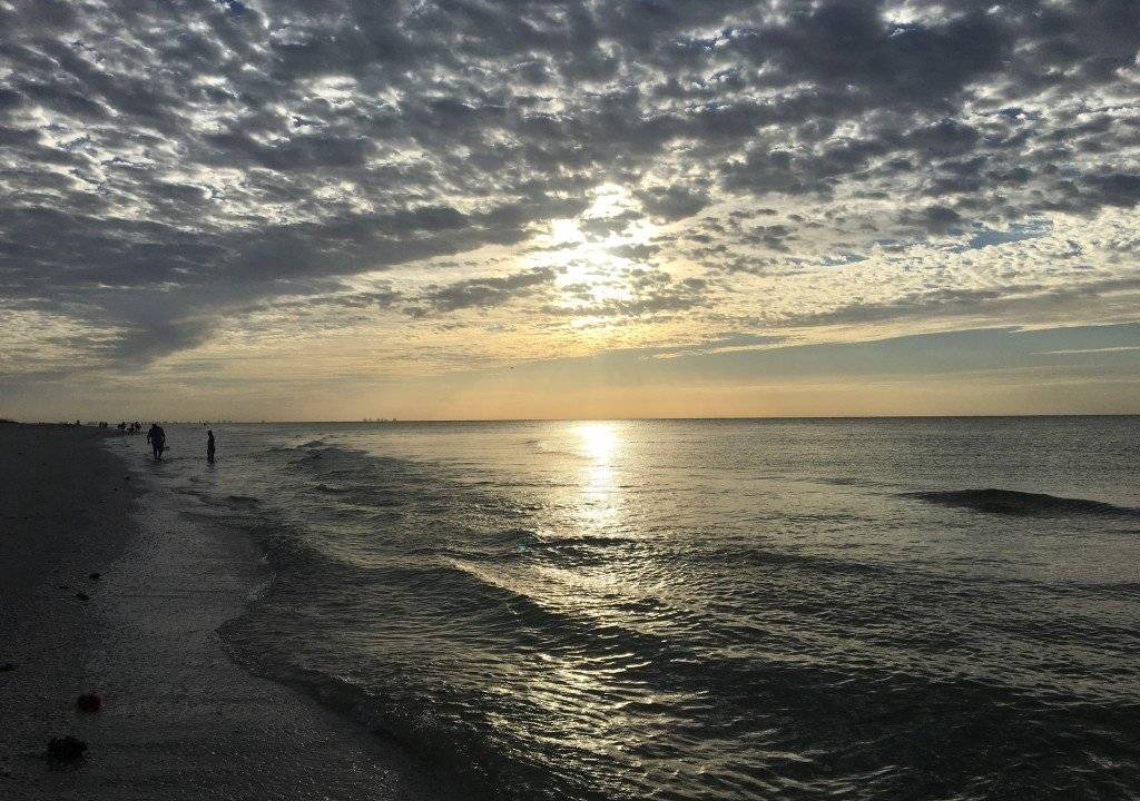 Photo of Others in Sanibel