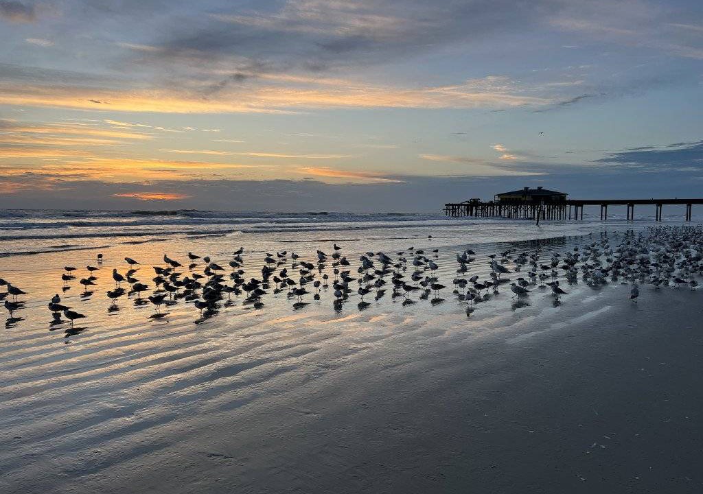 Photo of Others in Daytona Beach Shores
