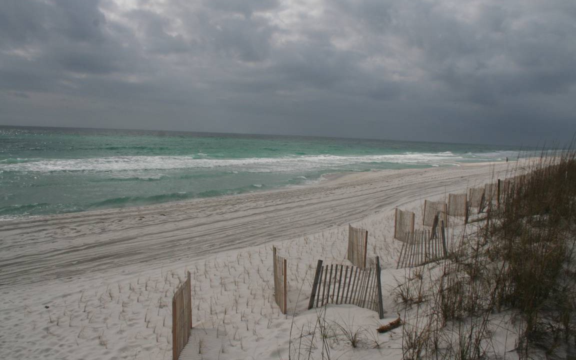 Photo of Others in Pensacola Beach