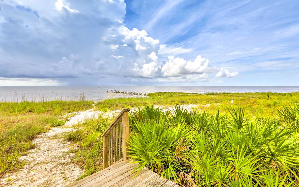 Photo of Outdoor in Carrabelle