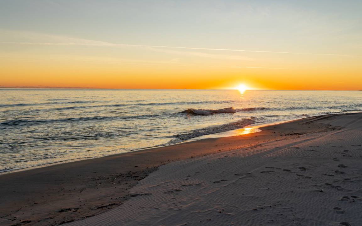Photo of Others in Dauphin Island