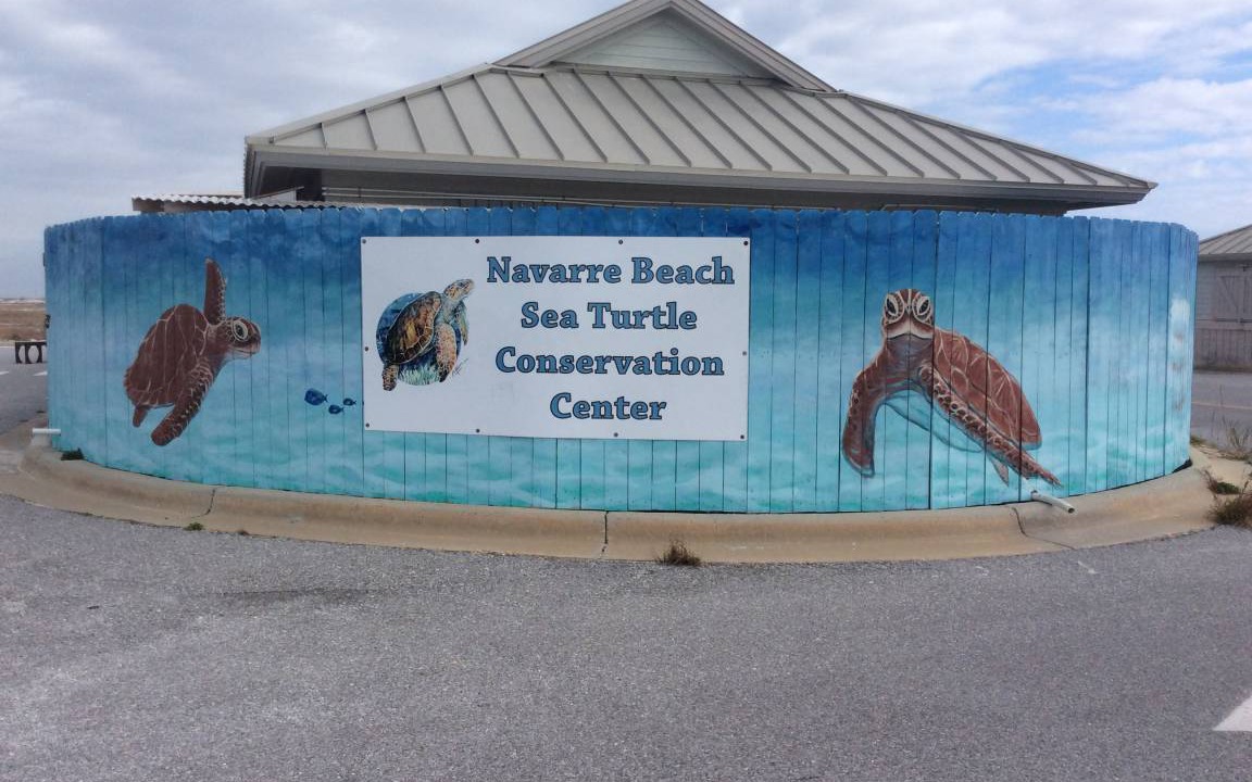 Photo of Others in Navarre Beach