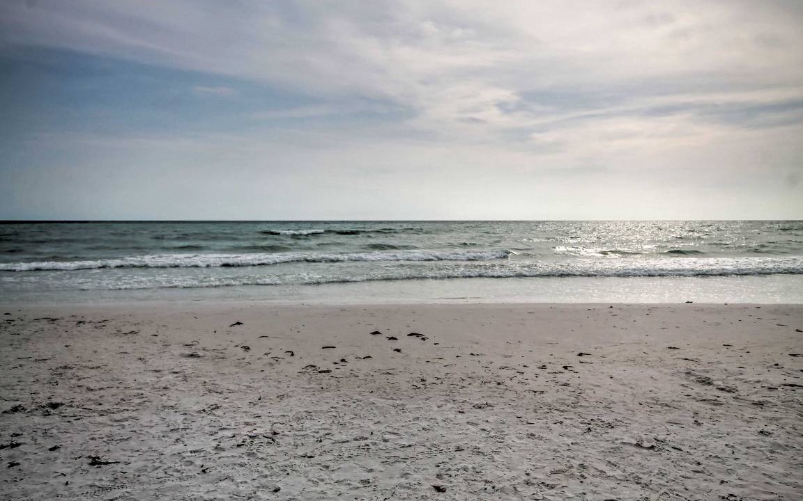 Photo of Others in South Sarasota