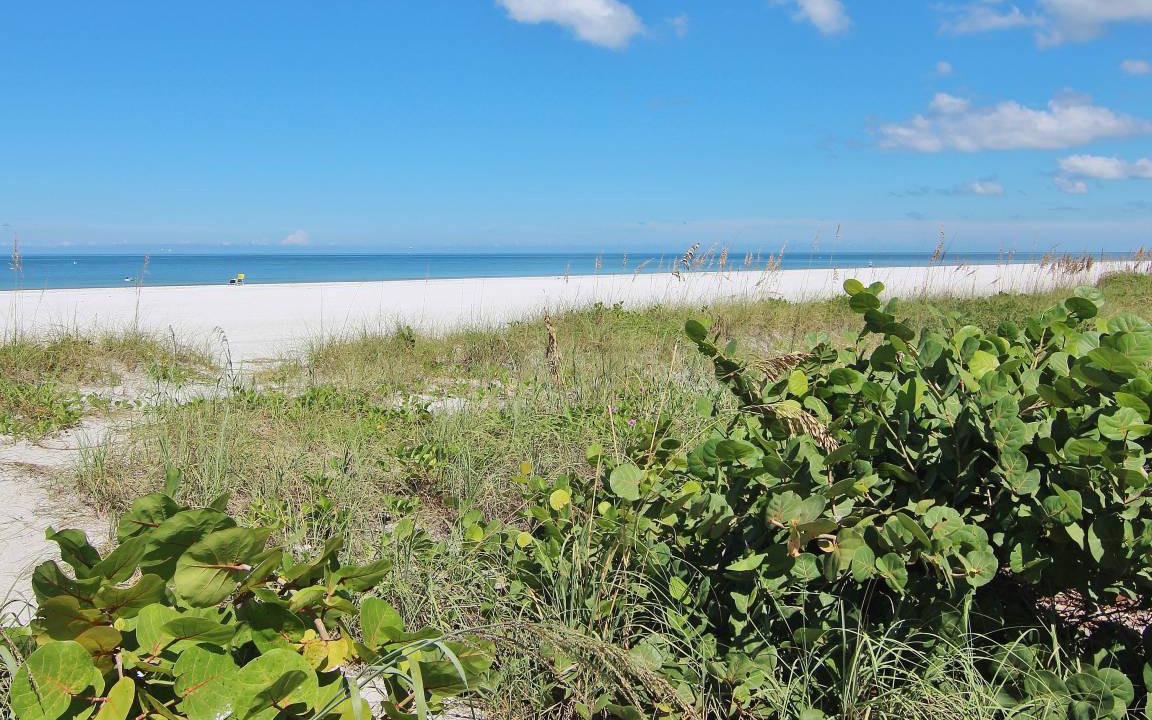 Photo of Others in Belleair Beach