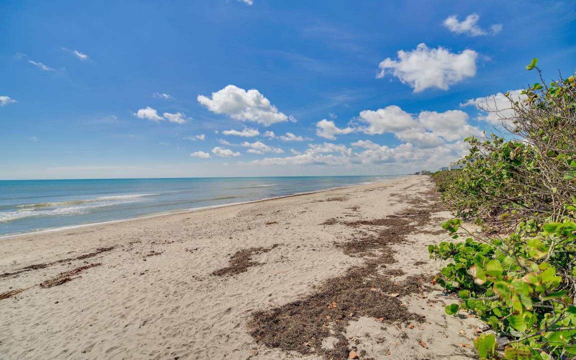 Photo of Others in South Patrick Shores