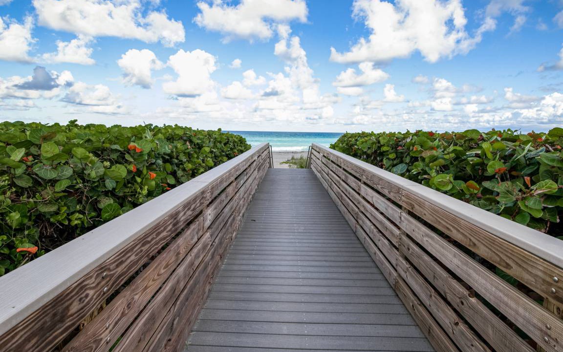 Photo of Others in Juno Beach