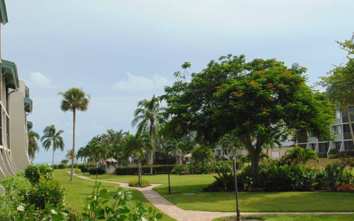 Photo of Others in Sanibel