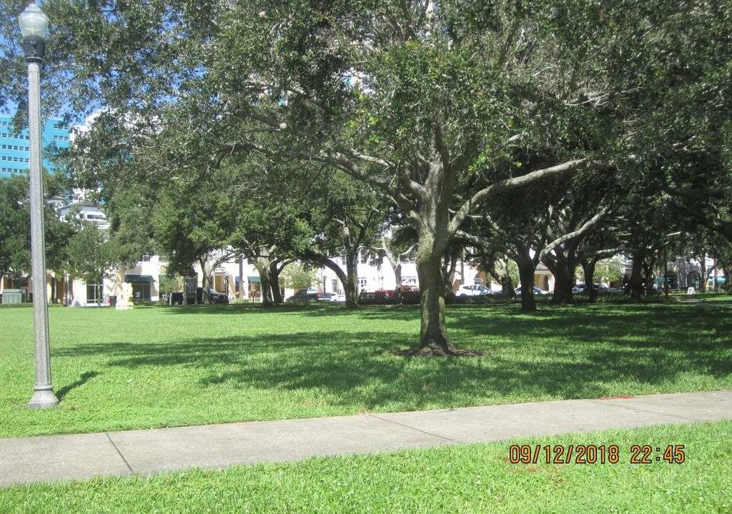 Photo of Others in St. Petersburg - Clearwater