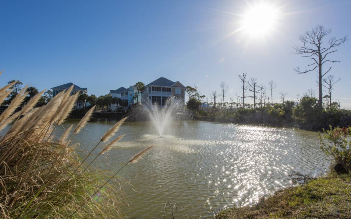 Photo of Others in Port St. Joe