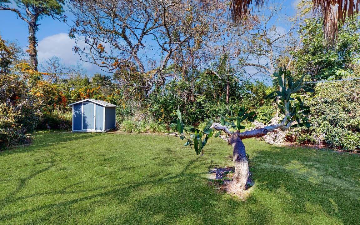 Photo of Others in Alta Vista