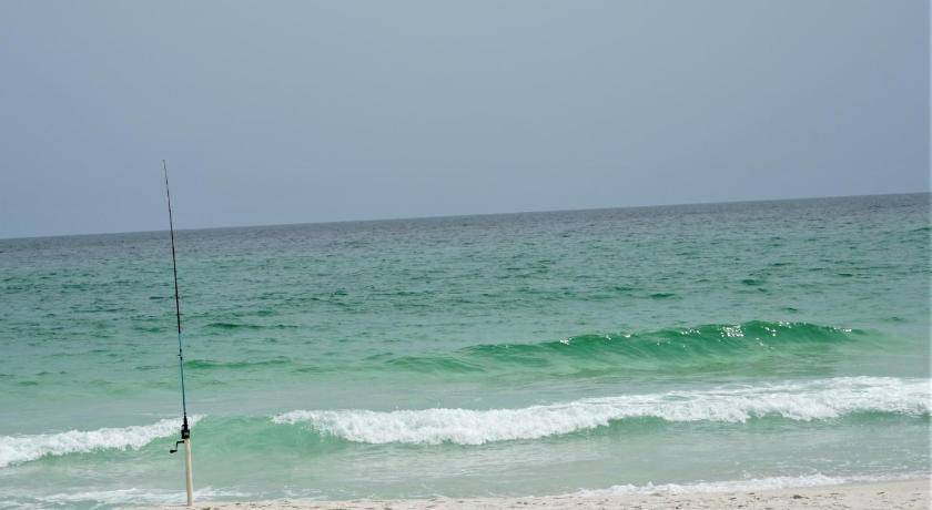 Photo of Others in Pensacola