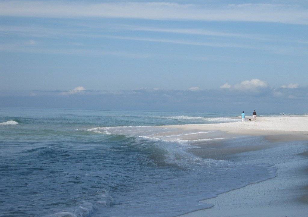 Photo of Others in Port St. Joe