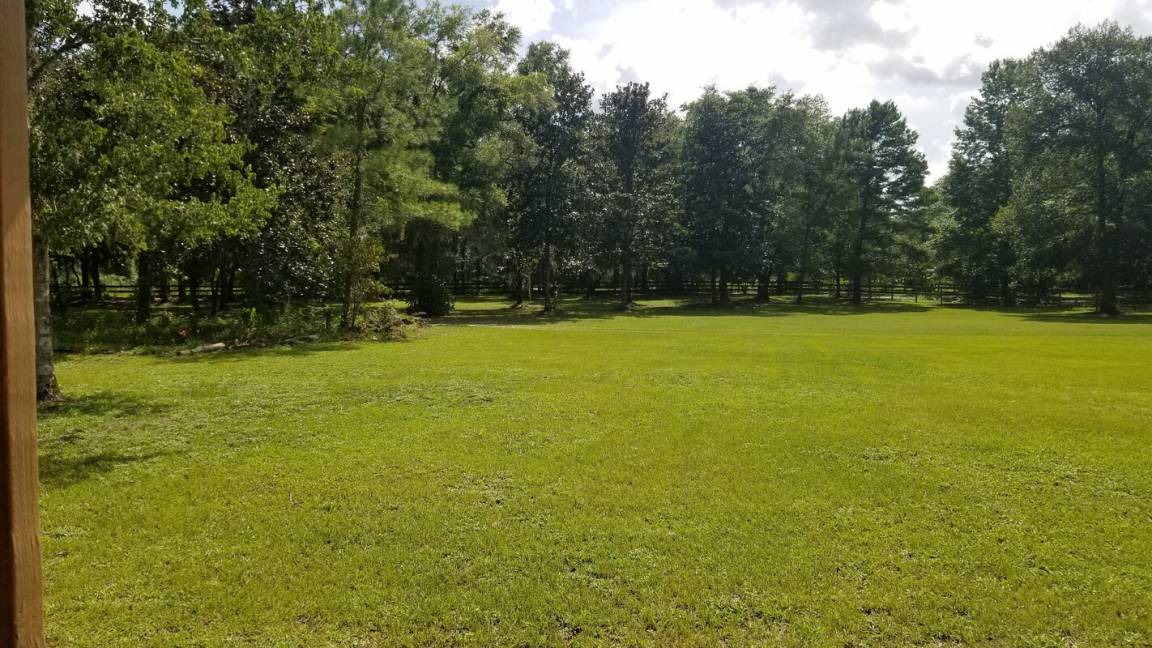 Photo of Others in Crawfordville