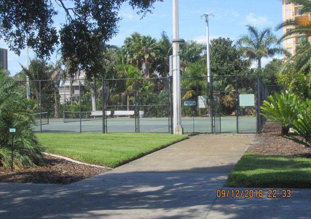 Photo of Others in St. Petersburg - Clearwater