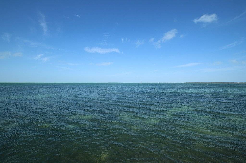 Photo of Others in Islamorada