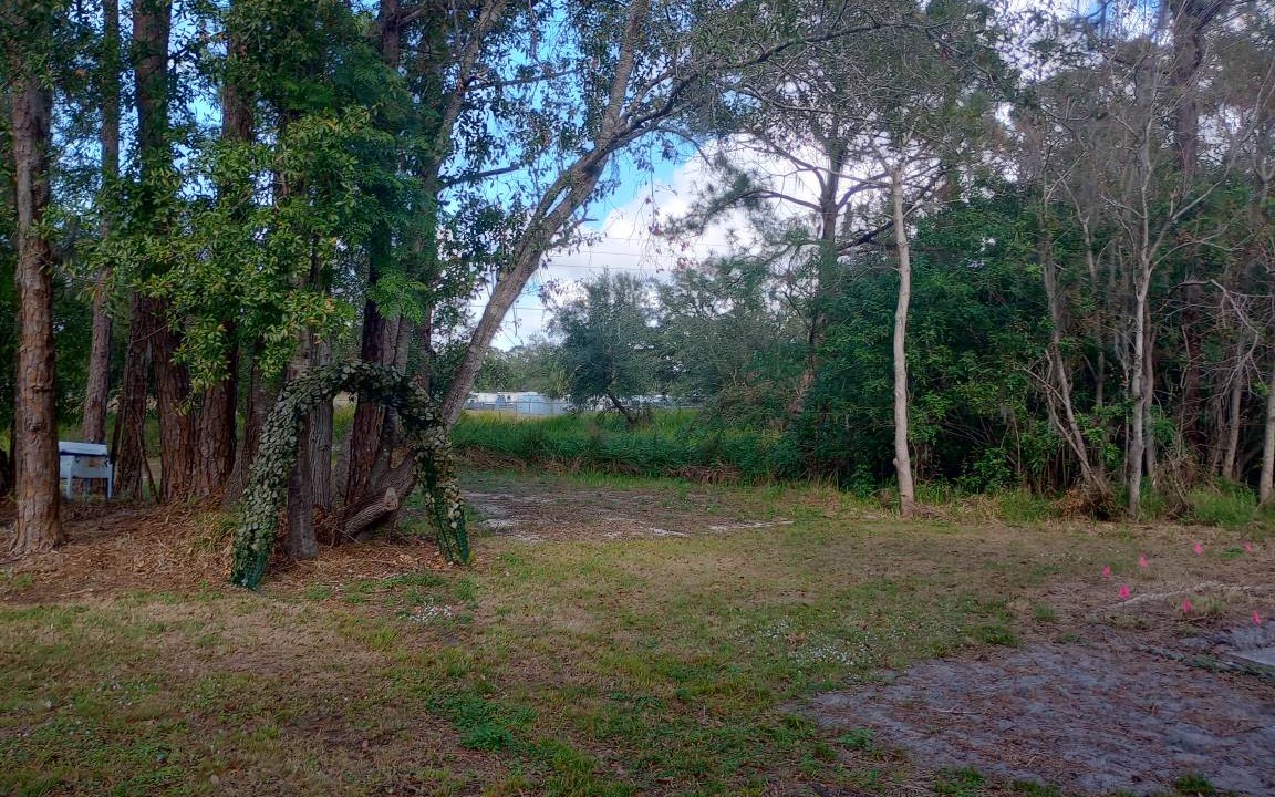 Photo of Others in Sebring