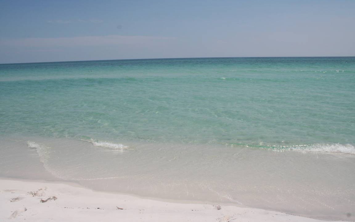 Photo of Others in Pensacola Beach