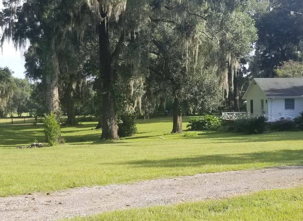 Photo of Others in Reddick