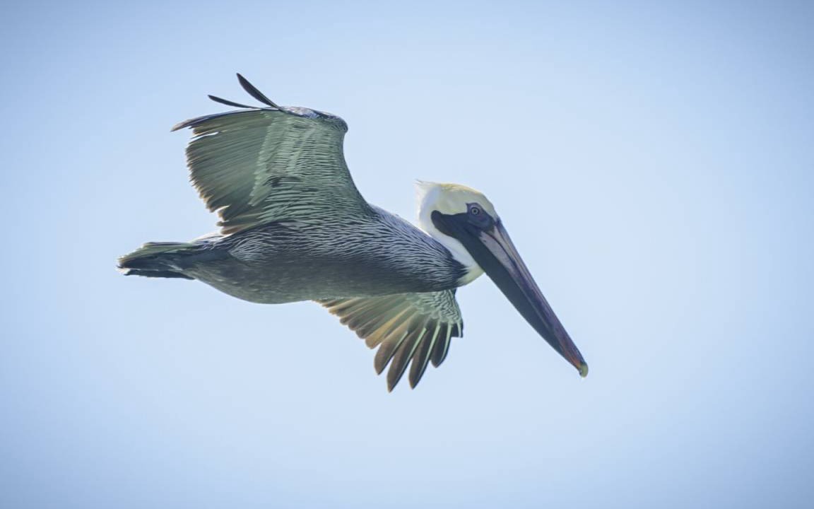 Photo of Others in Port St. Joe