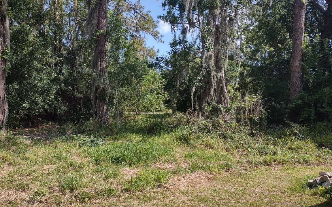 Photo of Others in Sebring