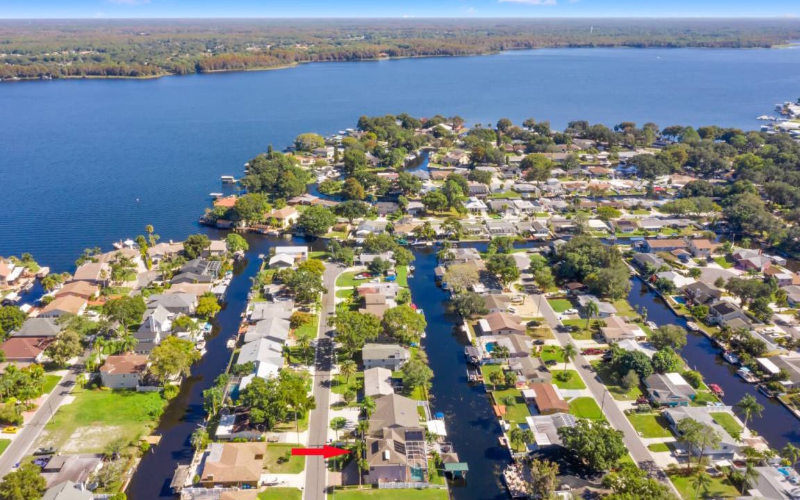 Photo of Others in Palm Harbor