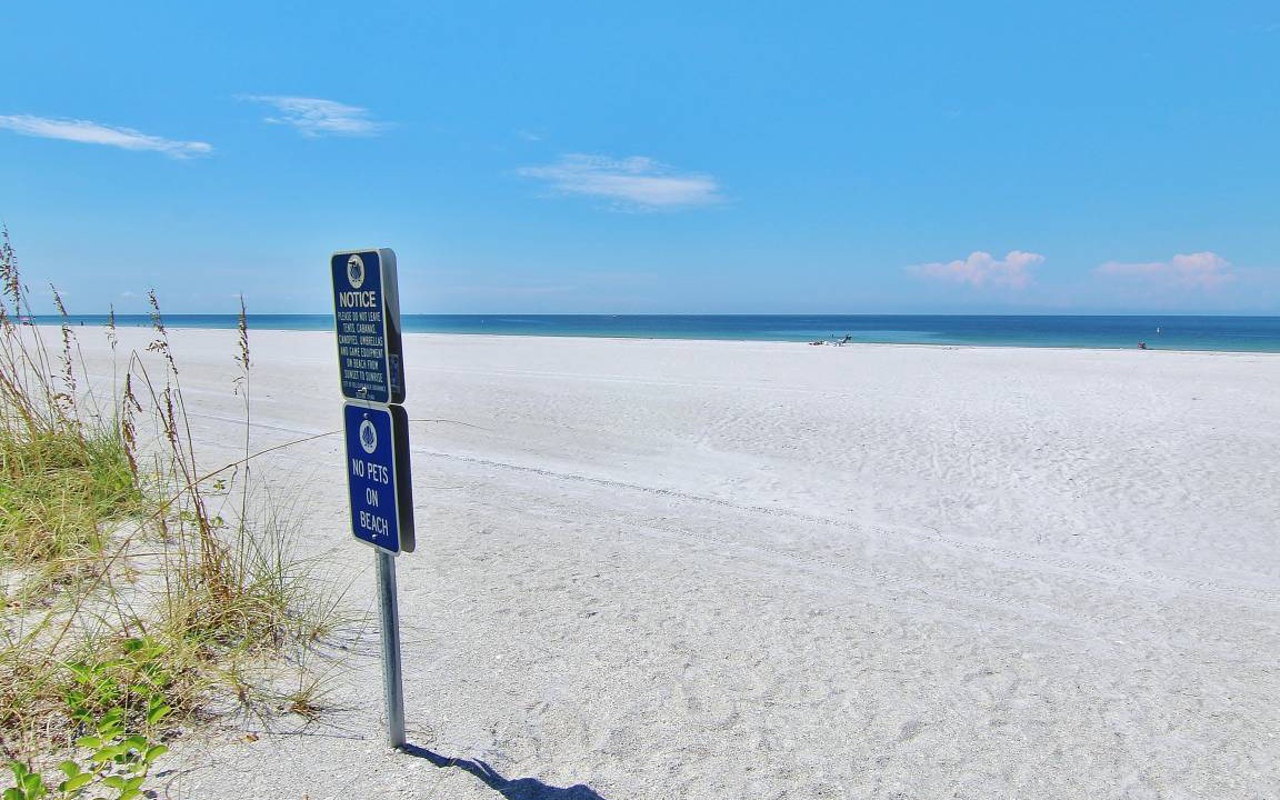 Photo of Others in Belleair Beach