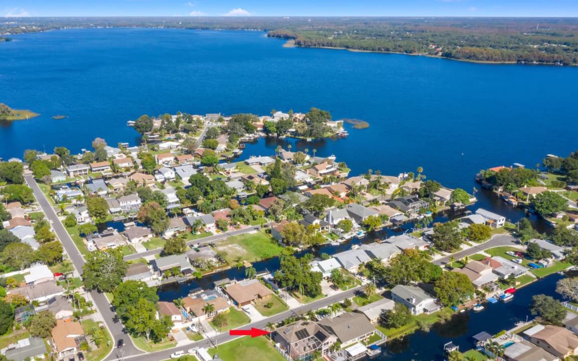 Photo of Others in Palm Harbor